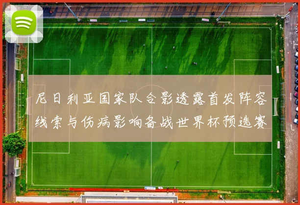 尼日利亚国家队合影透露首发阵容线索与伤病影响备战世界杯预选赛